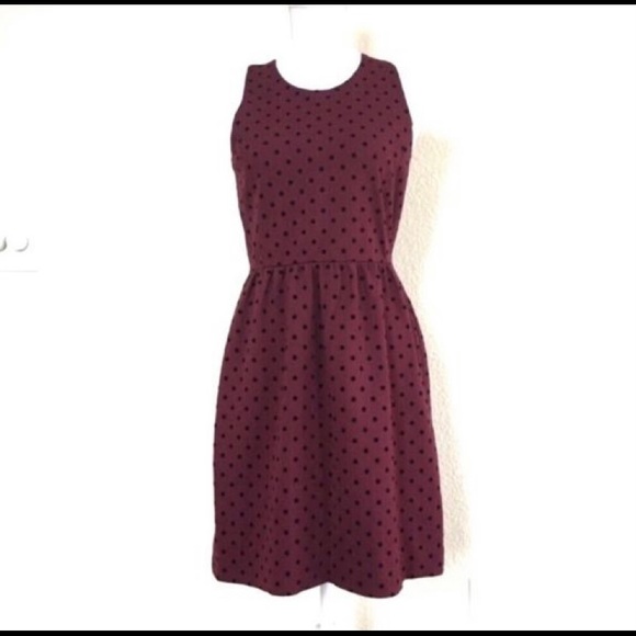 J Crew polka dot Dress - Picture 1 of 6